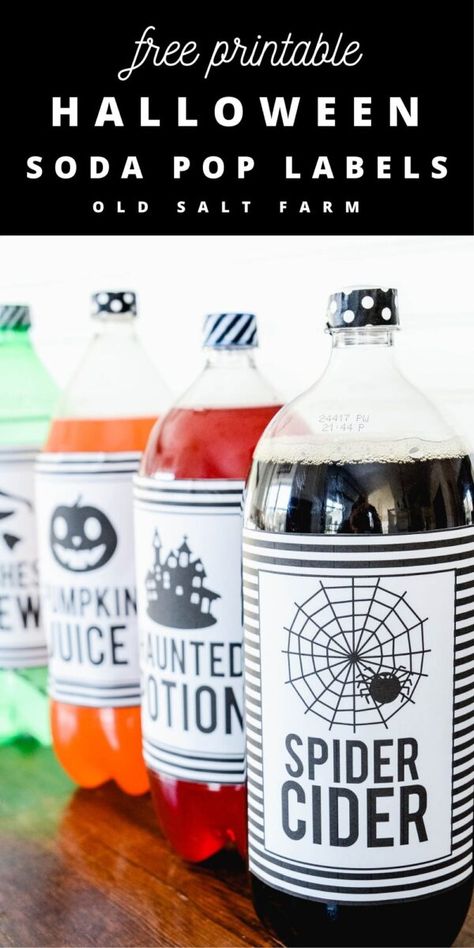 Halloween Soda Pop Labels Printables...so fun, and perfect for any Halloween party or gathering! Spider Cider, Pumpkin Juice, Witches' Brew, Haunted Potion #halloweenprintables #halloweenparty #halloweenpartyideas #witchesbrew Spooky Decorations Diy, Fun Halloween Drinks, Labels Printables, Halloween Borders, Halloween Drink, Pumpkin Juice, Potion Labels, Halloween Activities For Kids, Fun Arts And Crafts