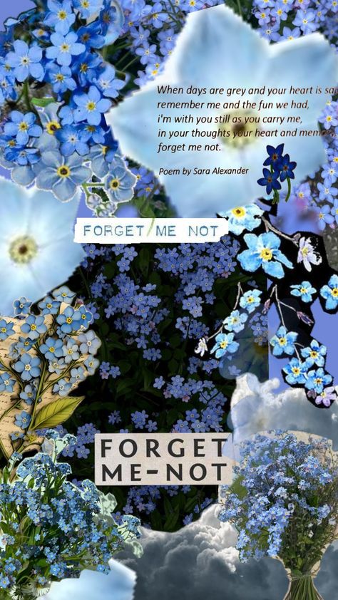 forget me not #flowers #flower #blueaesthetic #forgetmenots #blue #colleagues #peom # Forget Me Nots Aesthetic, Forget Me Not Flowers Wallpaper, Forget Me Not Flowers Aesthetic, Flowers Collage, Not Wallpaper, Wallpaper Bible, Forget Me Not Flowers, Forget Me Not Flower, Forget Me Nots