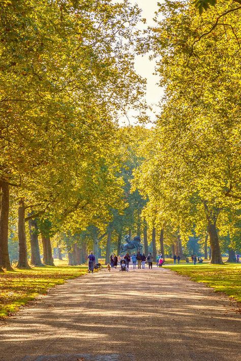 Hyde Park London Aesthetic, Best Parks In London, Parks In London, London Parks, London Painting, London Fields, City Parks, Hyde Park London, London Dreams