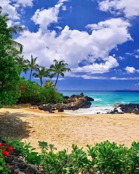 Hawaiian Islands | Welcome to Maui!❤️😎🌊😱 | Facebook Hawaiian Landscape, Hawaiian Decor, Exotic Beaches, Aloha Hawaii, Katherine Mcnamara, Hawaiian Islands, Maui Hawaii, Sunset Beach, Beach Sunset