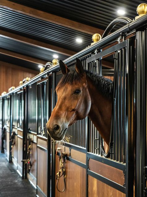 Step Inside JohnMel Stables, a Thoughtfully Designed Barn - STABLE STYLE Luxury Horse Stables, Horse Stables Design, Luxury Horse Barns, Equestrian Stables, Stable Style, Horse Riding Aesthetic, Horse Barn Ideas Stables, Horse Arena, Dream Stables