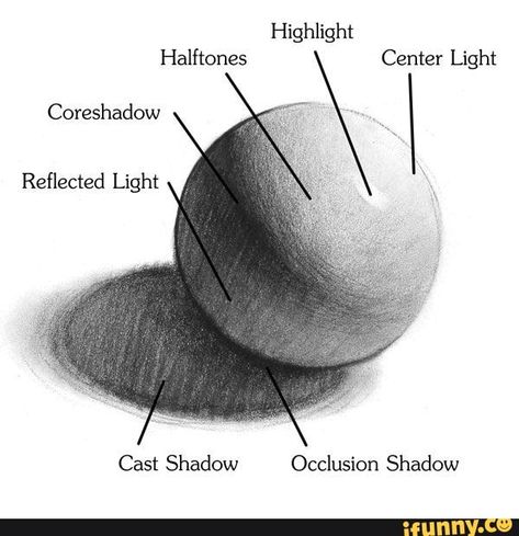 Halftones Center Light Coreshadow \ Cast Shadow Occlusion Shadow - iFunny :) Charcoal Drawings, Origami Owl, Art Demo, Shading Techniques, Doodle Drawing, 3d Drawings, Art Instructions, Charcoal Drawing, Drawing Skills