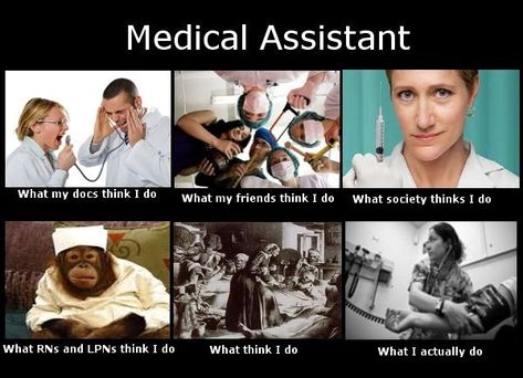 Medical Assistant Humor Medical Assistant Quotes, Medical Assistant Humor, Medical Assistant Student, Medical Memes, Certified Medical Assistant, Medical Careers, Kellin Quinn, Medical Humor, Monkeys Funny