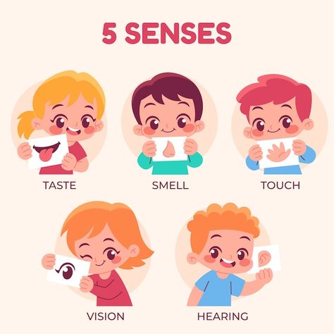 5 Senses Illustration, Five Senses Chart, 5 Senses Poster, 5 Sense Organs, Senses Illustration, Sense Organs Chart, Sensory Language, Body Outline, Eye Illustration