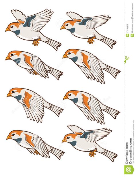 Sparrow Flying Animation Sprite - Download From Over 42 Million High Quality Stock Photos, Images, Vectors. Sign up for FREE today. Image: 37492205 Bird Flying Animation, Sparrow Flying, Flying Animation, Animation Sprite, Flying Bird Drawing, Parrot Wings, Animal Movement, Learn Animation, Blue Jay Bird