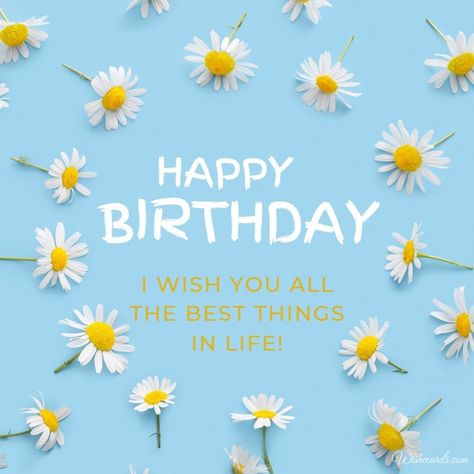 Happy Birthday Katie, Katie Daisy, Birthday Ecard, Nice Words, Flower Birthday Cards, Happy Birthday Wishes Images, Birthday Wishes And Images, Happy Birthday Pictures, Floral Collection