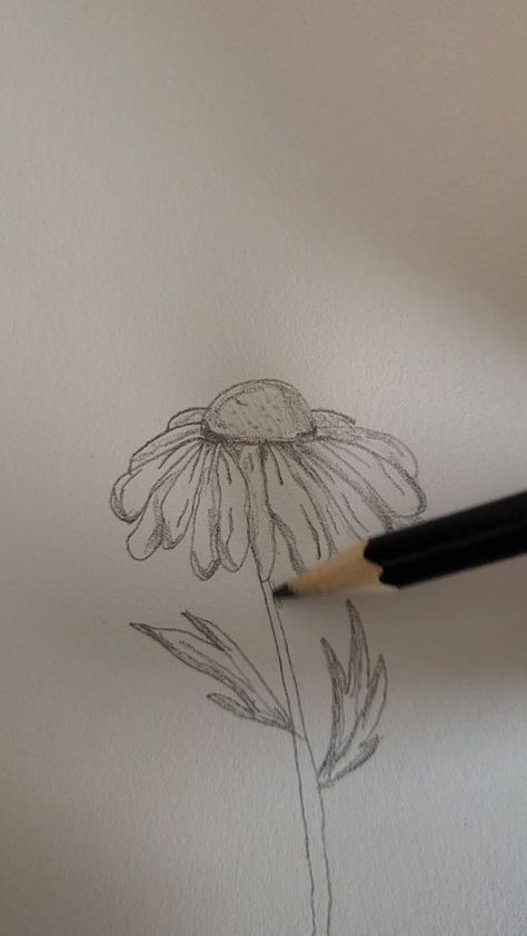 Imagine Artists with Lianna | How to Draw a Realistic Daisy :) Easy! Happy Mothers Day! 🌼 #drawinglesson #drawing #easydrawing #easy tutorial #howtodraw #Daisy #flower # | Instagram Drawing Daisy Flower, Easy Sketches Flowers, Things To Draw For Your Mom, Daisy Drawing Simple, Daisy Flower Sketch, Daisy Drawings, Daisies Drawing, Daisy Sketch, Drawing Daisy