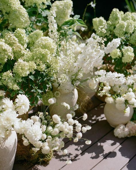 J&G’s late summer ceremony ft. fluffy garden blooms ~ antique hydrangea, delphinium, lavatera, dahlia, scabiosa & breezy grasses 🏺🌾 With o… | Instagram Green Hydrangea Wedding, Antique Hydrangea, Green And White Wedding Flowers, Hydrangea Centerpiece Wedding, White Hydrangea Wedding, Summer Ceremony, Hydrangea Bouquet Wedding, Wedding Flowers Hydrangea, Wedding Alters