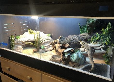 Bearded Dragon Lighting, Bearded Dragon Tank Setup, Bearded Dragon Setup, Diy Bearded Dragon Enclosure, Bearded Dragon Vivarium, Bearded Dragon Terrarium Ideas, Bearded Dragon Diy, Bearded Dragon Terrarium, Bearded Dragon Enclosure