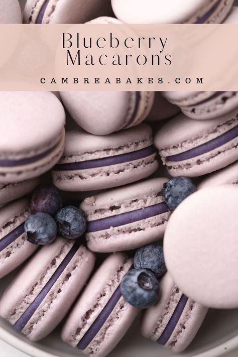 blueberry macarons in a bowl. Blueberry Ganache, Blueberry Pop Tarts, Blueberry Macarons, Macaroon Filling, Macaroons Flavors, Easy Macaroons Recipe, French Macaroon Recipes, Macaron Filling, Ganache Filling