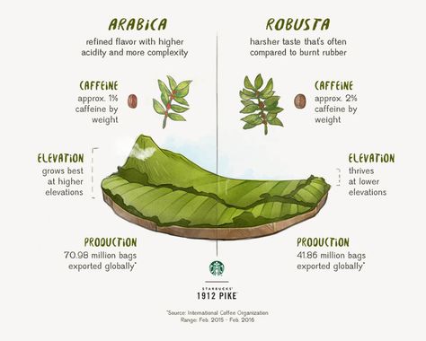 Arabica vs. Robusta Bohne- Die Unterschiede #Kaffee #Arabica #Robusta #Unterschiede Arabica Robusta, Robusta Coffee, Coffee Facts, Coffee World, Coffee Business, How To Order Coffee, Best Coffee Mugs, Coffee Plant, Arabica Coffee