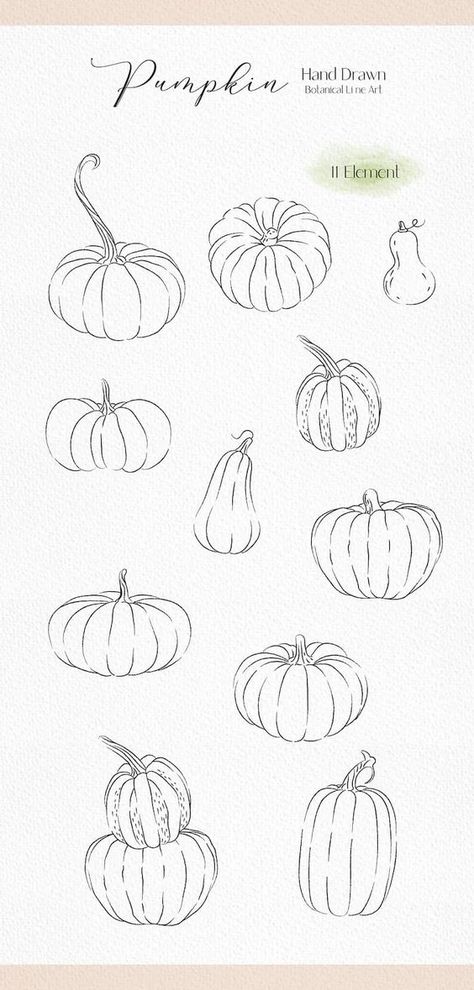 Pumpkin svg Fall svg Thanksgiving svg Autumn svg Fall pumpkin | Etsy Paper patterns #paperpatterns Paper patterns printable #paperpatternsprintable Paper patterns templates #paperpatternstemplates Paper patterns design 6.568 Pumpkin Tattoo, Digital Art Software, Fall Drawings, Pumpkin Drawing, Arte Doodle, Fall Clipart, Autumn Png, Autumn Svg, Svg Thanksgiving