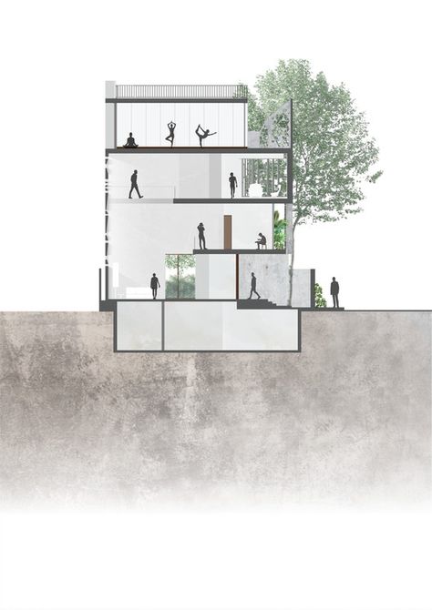 Center Section Plans And Sections Architecture, Schematic Section, Architectural Section Presentation, Section Plan Architecture, Section Architecture Drawing, Section Photoshop, Architectural Section Drawing, Architecture Section Drawing, Sections Architecture