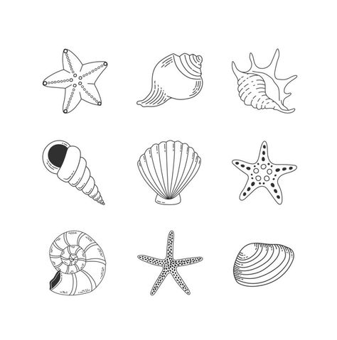 Shells and starfish outline set isolated on white background. Seashell vector illustration. Collection of clam mollusc linear icons. Ocean cockleshell. Starfish Outline, Starfish Tattoo, Shell Tattoos, Painting Inspiration, Starfish, Tatting, Sea Shells, Line Art, White Background