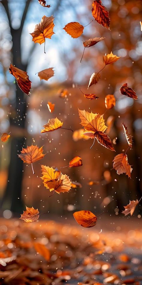 Free Fall Wallpaper, Autumn Phone Wallpaper, Autumn Leaves Wallpaper, Cute Fall Wallpaper, Iphone Wallpaper Fall, Fall Background, Wallpaper Android, Autumn Scenery, Falling Leaves