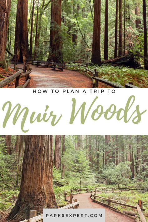 Muir Woods National Monument, California Hikes, California Trip, Muir Woods, Hiking Map, West Coast Road Trip, San Francisco Travel, California National Parks, Park Ranger