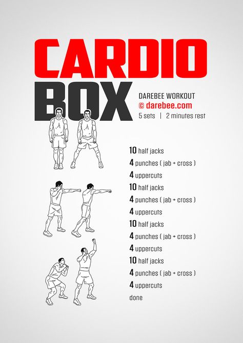 Cardio Box Workout https://darebee.com/workouts/cardio-box-workout.html Boxing Workout At Home, Box Workout, Cardio Boxing Workout, Boxer Workout, Home Boxing Workout, Boxing Workouts, Fighter Workout, Boxing Training Workout, Mma Workout