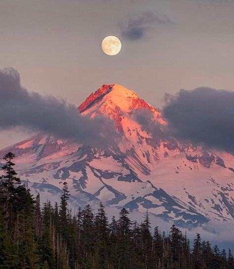 #moonlit #MountHood Nature, High Key Portrait, Mt Hood Oregon, World Photography Day, Oregon Photography, Mount Hood, Photography Day, Mt Hood, National Parks Trip