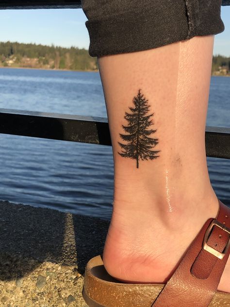 Evergreen Pine Tree Tattoo, Pine Tree Tattoo Forearm Women, Feminine Pine Tree Tattoos, Evergreen Tattoo Washington, Pine Tattoo Design, Farm Tatoos Ideas, Simple Evergreen Tree Tattoo, Colorado Tree Tattoo, Buckeye Tree Tattoo