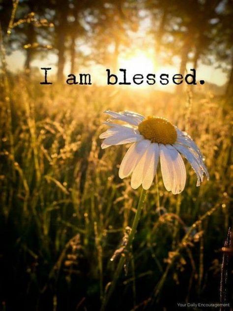 Love Bible, Motivation Positive, Thinking Quotes, Life Thoughts, I Am Blessed, Ideas Quotes, Quotes Love, Spiritual Inspiration, Faith Quotes