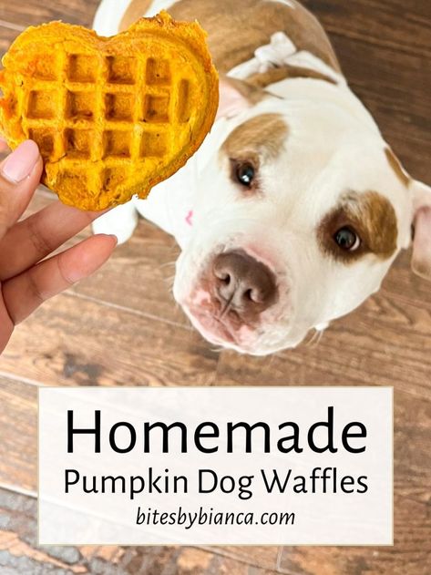 These homemade dog waffles are super quick and easy to make! The batter is mixed in one bowl, then transferred to a mini waffle iron. Top one waffle with your dog’s favorite treats and their tails will be wagging non-stop! Doggie Waffle Treats, Dog Waffle Treats, Dog Treats In Waffle Maker, Mini Dog Treats Homemade, Dog Waffles Recipes Easy, Dog Waffles Recipes, Waffle Treats, Dog Waffles, Dogs Recipes