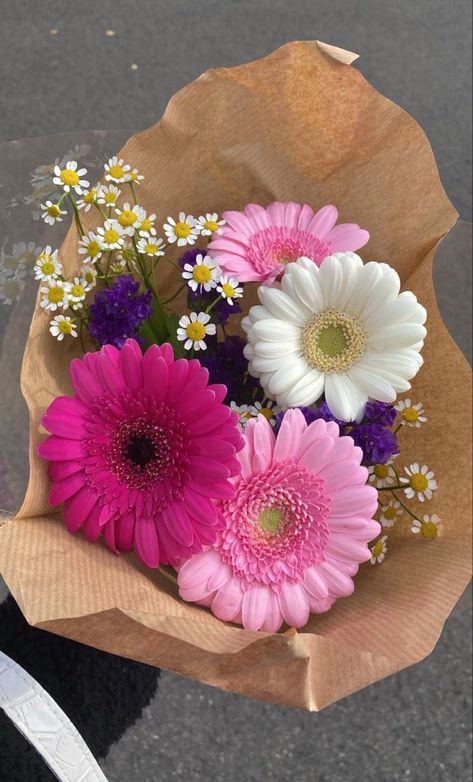 Gerbera Flower, Boquette Flowers, Flowers Bouquet Gift, Nothing But Flowers, Flower Therapy, Flowers For You, Beautiful Bouquet Of Flowers, Bouquet Of Flowers, Tulips Flowers