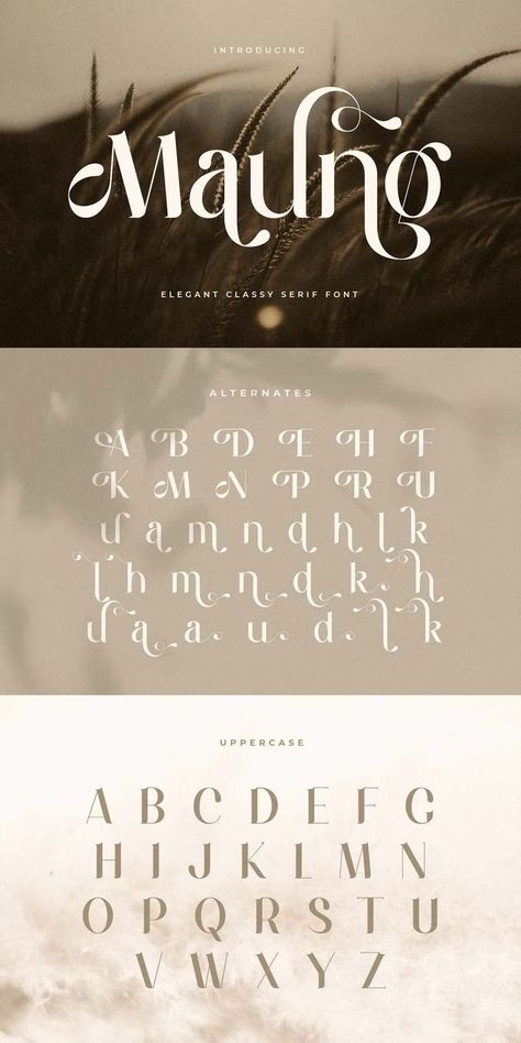 Feminine Fonts Alphabet, Romantic Serif Fonts, Natural Fonts Typography, Font Logo Ideas, Classy Fonts Alphabet, Elegant Font Logo, Flowy Typography, Flowy Fonts, Elegant Fonts Alphabet