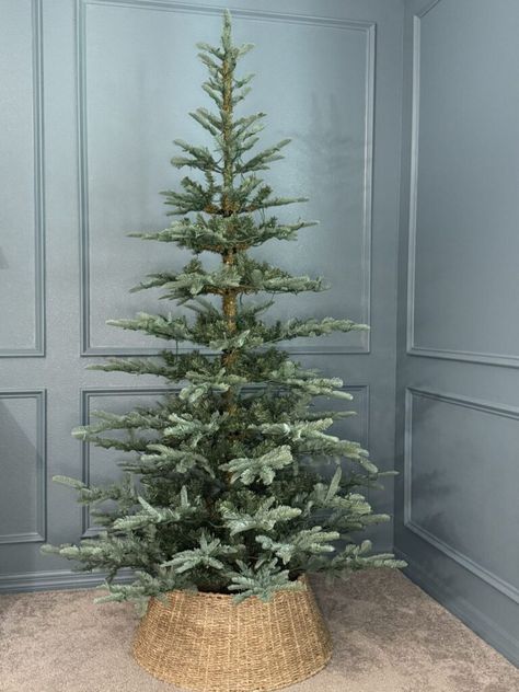 How to choose the perfect artificial Christmas tree can feel like a big decision but King of Christmas can help! Undecorated Christmas Tree, Christmas Tree Base Ideas, Noble Fir Tree, Small Space Christmas Tree, 7ft Christmas Tree, Best Artificial Christmas Trees, Space Christmas, Types Of Christmas Trees, Christmas Tree Base