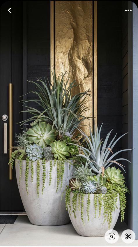 Landscaping Pots & Planters, Cacti Front Porch, Succulent Pot Design, Patio Succulent Garden, Succulent Pot Garden, Front Door Steps Decor, Landscape With Flower Pots, Flower Pot Front Porch, Front Entrance Potted Plants