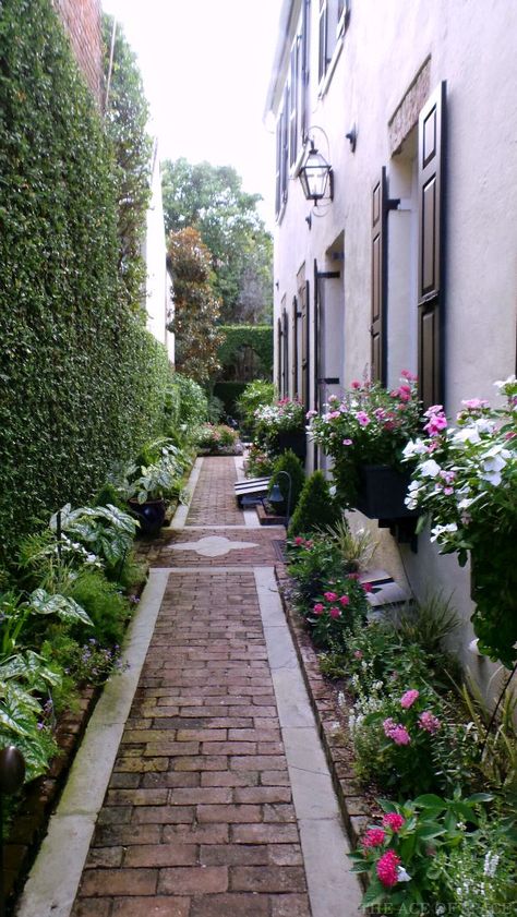 Gardens of Charleston - The Ace Of Space Blog Charleston Gardens, Narrow Garden, Side Yard Landscaping, Brick Path, Side Yards, Garden Types, Side Garden, Garden Pathway, Side Yard