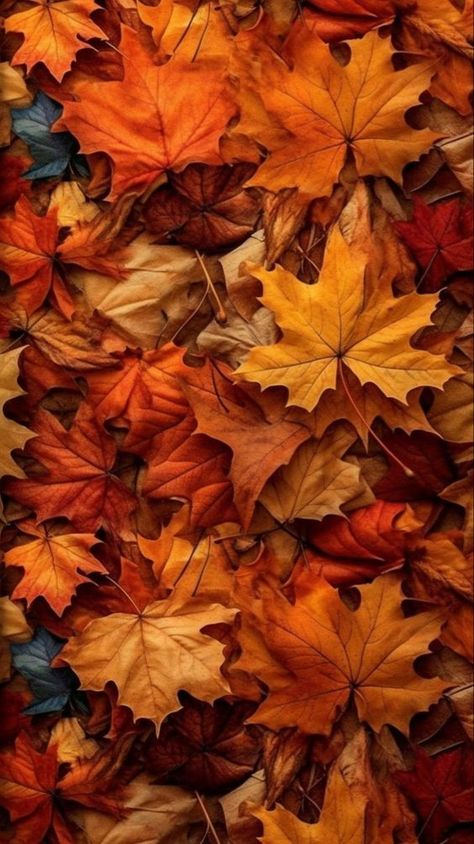 🍂🤎🍁🍂🤎🍁🍂🤎🍁🍂🤎🍁🍂🤎🍁 Aesthetic Thanksgiving, Desktop Wallpaper Fall, Autumn Leaves Wallpaper, Thanksgiving Background, Zestaw Ikon, Thanksgiving Wallpaper, Cute Fall Wallpaper, Autumn Magic, Fall Background