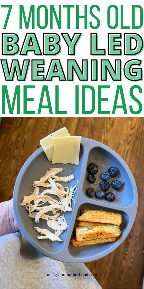 7 Month Old Baby Led Weaning Meal Ideas Blw Lunch Ideas 7 Month Old, Baby Led Weaning Lunch Ideas 7 Months, Meal Plan For 8 Month Old Baby, Meal Ideas For 7 Month Old, 8 Month Meal Ideas, 7 Month Meal Ideas, 7 Month Old Blw Ideas, 7 Month Blw Meals, 7 Month Old Snacks