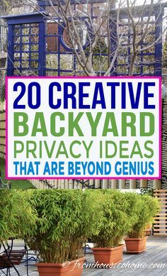 Backyard Privacy Ideas, Privacy Screen Ideas, Lattice Privacy Screen, Backyard Privacy Screen, Privacy Trellis, Pergola Cover, Garden Screens, Privacy Ideas, Deck Privacy