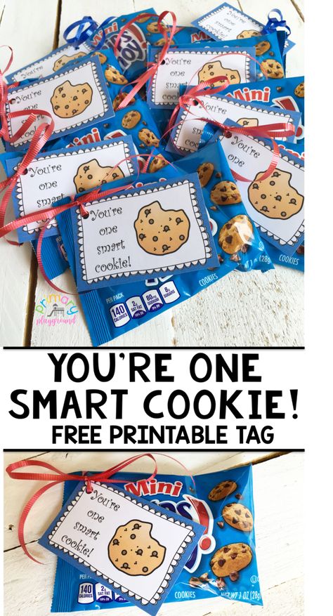 You're One Smart Cookie! Free Printable Tag - Primary Playground One Smart Cookie Free Printable, Smart Cookie Printable, Testing Treats For Students, Testing Treats, Testing Encouragement, Cookie Tags, One Smart Cookie, School Testing, Free Printable Tags