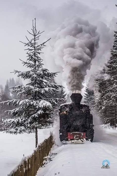 Germany In Winter, German Winter, Winter Train, Budget Friendly Travel, Magical Winter, Steam Train, Train Pictures, Christmas Train, Train Journey