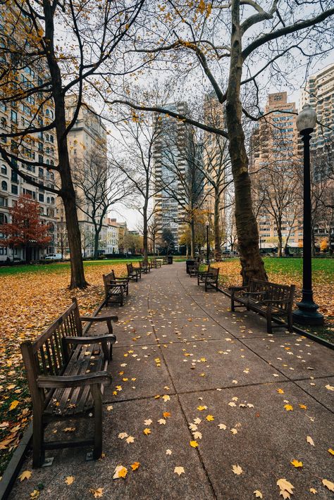 Autumn color and walkway at Rittenhouse Square Park, in Philadelphia, Pennsylvania Rittenhouse Square, Hotel Motel, Posters Framed, Philadelphia Pennsylvania, Autumn Aesthetic, Party City, City Girl, Image House, Shutter Speed