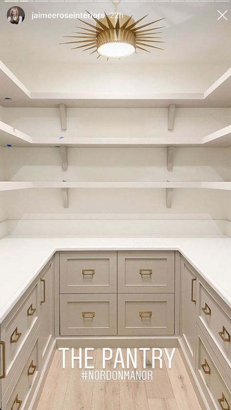 Pantry Closet Design, Dream Pantry, Pantry Inspiration, House Pantry, Pantry Room, Desain Pantry, Pantry Remodel, Pantry Closet, Kitchen Pantry Design