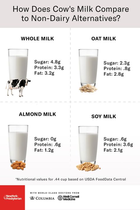 With a growing variety of milk alternatives on store shelves, how do you decide which one is right for you? An #NYP registered dietitian breaks down the differences in sugar, protein and fat in cow’s milk, almond milk, oat milk, soy milk and coconut milk. Soy Milk Benefits, Healthy 2024, Diy Crafts For School, Milk Benefits, Non Dairy Milk, Dairy Alternatives, Non-dairy Milk, Health Hacks, Carnivore Diet