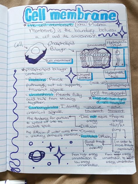 Biology Carbohydrates Notes, Grade 9 Biology Notes, Geology Notes College, Support And Movement Biology Notes, What Is Cell Notes, Biology Summary Notes, Highschool Biology Notes, Simple Biology Notes, Nat 5 Biology Notes