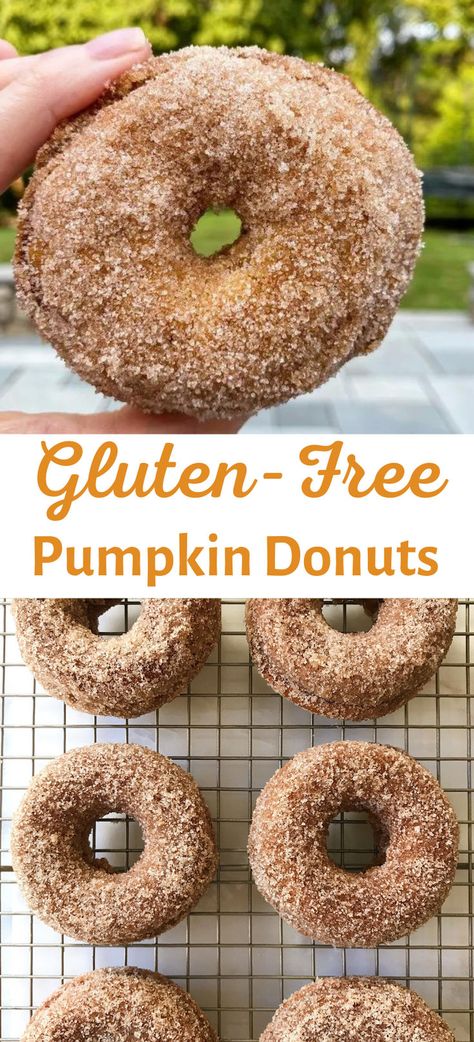 Nothing says Fall like pumpkins, apple cider and DONUTS! And these Gluten-Free Baked Pumpkin Donuts taste like they are straight from a bakery. Amazing texture and just the right amount of sweet & spice! Gf Pastry, Gluten Free Donuts Baked, Gluten Free Doughnuts, Gluten Free Donuts, Gluten Free Flour Blend, Gluten Free Recipes For Breakfast, Gluten Free Sweets, Gluten Free Recipes Easy, Pumpkin Flavor