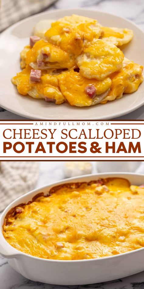 Check out this cheesy scalloped potato recipe and add it to your Thanksgiving side dish recipes! This easy potato casserole with ham, layers of potatoes, and a homemade sharp cheddar cheese sauce. Don't miss it! Cheesy Scalloped Potatoes And Ham, Ham And Scalloped Potatoes, Cubed Ham, Easy Cheesy Scalloped Potatoes, Cheese Scalloped Potatoes, Thanksgiving Recipes Side Dishes Easy, Scalloped Potato Casserole, Ham Casserole Recipes, Potatoes And Ham