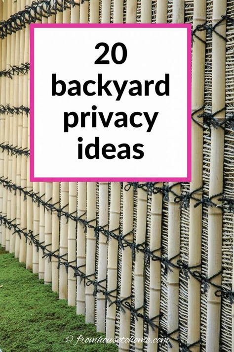 Privacy screens are a great way to make your backyard garden feel more secluded and keep the neighbors from seeing into your yard. Whether you want to use plants, fences or structures, there are lots of ways to create your backyard oasis. Backyard Fencing Ideas Privacy, Backyard Privacy Wall Ideas, Backyard Privacy Ideas From Neighbors Fence, Privacy Gates Backyards, Garden Screening Ideas Cheap, Gate Privacy Ideas, Garden Privacy Ideas Cheap, Ideas For Privacy Fence, Easy Privacy Fence Ideas Cheap