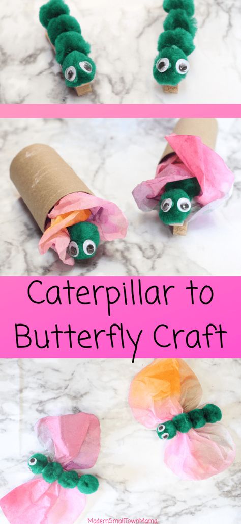 Caterpillars to Butterflies Craft #preschool #craft #butterflies Craft Butterflies, Butterfly Crafts Preschool, Caterpillar To Butterfly, Butterfly Caterpillar, Bugs Preschool, Craft Preschool, Caterpillar Craft, Butterfly Craft, Insect Crafts