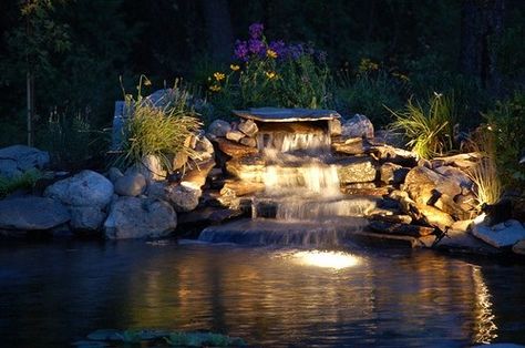 Pond lighting Koi Pond Lighting, Pond Lighting, Giant House, Water Feature Lighting, Water Cascade, Busy Office, Backyard Ponds, Outdoor Ponds, Garden Water Feature