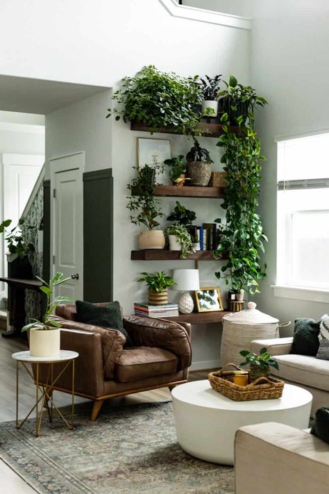 Plant Wall Shelf Ideas {Plant Display Tips!} – Love & Renovations Ruang Tv, Room Plants, نباتات منزلية, Decor Ideas Bedroom, Living Room Plants, Room Cozy, Plant Decor Indoor, 아파트 인테리어, House Plants Decor