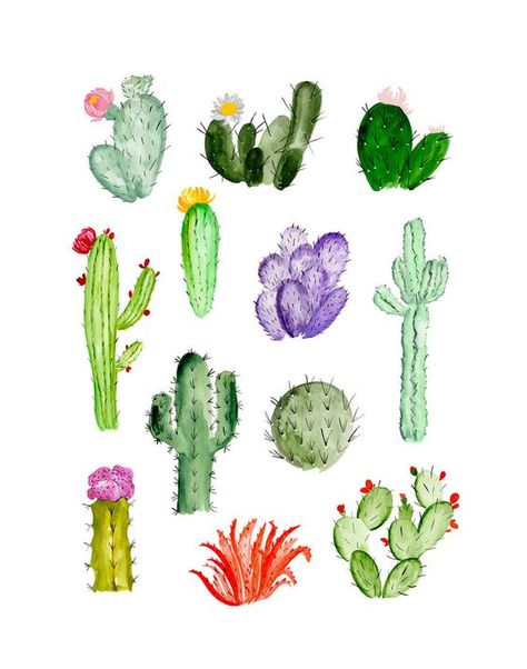 'Cacti Study' by Shannon Kirsten: Soyut Sanat Tabloları, 수채화 그림, Art Et Illustration, Watercolor Inspiration, Limited Edition Art Print, Art And Illustration, Cactus And Succulents, Moleskine, Art Paint