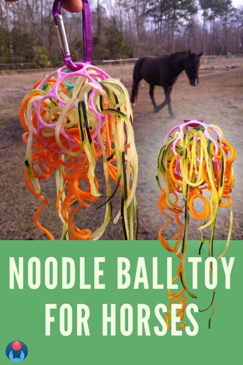 Image pin shows DIY noodle ball treat toy for horses hanging from fingers. Toy is made of webby, hollow o ball baby toy and full of carrot noodles and cucumber noodles. Inset image shows toy in foreground and horse approaching in background. Overlay text reads: noodle ball toy for horses with Enriching Equines logo in lower left corner. Easy Horse Stalls, Horse Enrichment, Easy Cute Diy, Diy Horse Toys, Toys For Horses, Homemade Horse Treats, Horse Farm Ideas, Horse Food, Diy Horse