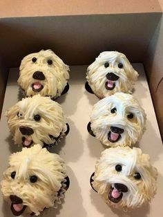 Critter Cupcakes, Pup Cakes, Puppy Cupcakes, Edible Eyes, Creative Dessert Recipes, Dog Cupcakes, Puppy Cake, Animal Cupcakes, Animal Cakes