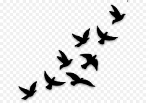 Birds Silhouette Flying, Bird Silhouette Art, Birds Png, Flying Bird Silhouette, Tattoos 2024, Bird Template, Silhouette Drawing, Cute Easy Doodles, Easy Doodles