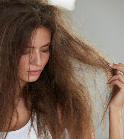 Fried hair is very fragile and prone to breakage. You can repair and restore your fried hair with some simple and easy solutions. Check them out here! Fried Hair, Salon Hair Treatments, Heat Damaged Hair, Moisturize Dry Hair, Best Hair Oil, Dry Shampoo Hairstyles, Air Dry Hair, Hair Control, Dry Damaged Hair